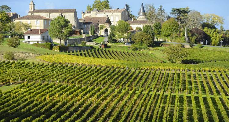 Des rangées de vignes vertes s'étendent vers un village en pierre au milieu de douces collines dans la région viticole.