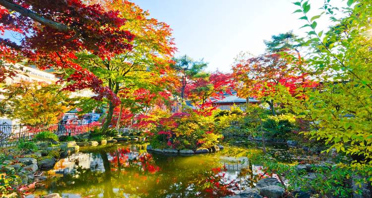 Estanque tranquilo de jardín japonés rodeado de árboles de arce rojo, amarillo y verde vibrantes en un día soleado.