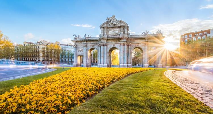 Puerta de Alcalá monument framed by a carpet of bright yellow flowers with the sun flaring through its arch.
