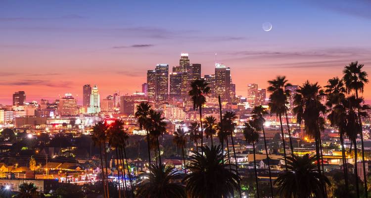 Los Angeles skyline at dusk with towering palms silhouetted against a colorful sky and crescent moon.