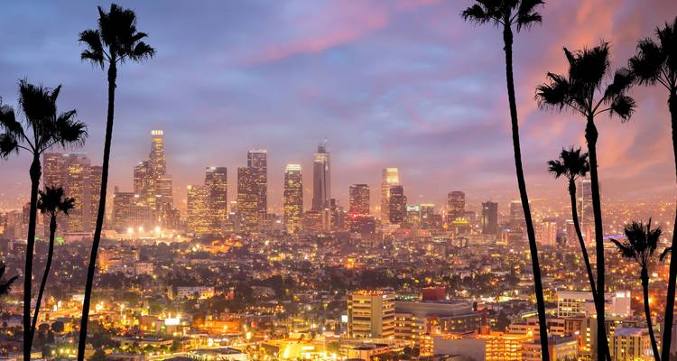 Los Angeles cityscape at twilight seen through tall palm tree silhouettes with city lights starting to glow.