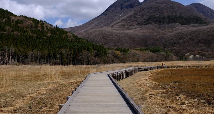 Wooden boardwalk leading across marshland toward forested mountains under patchy clouds.