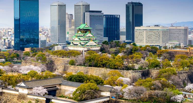 Osaka Castle rising from spring cherry blossom trees with modern high-rise buildings in the background.