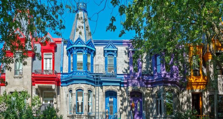 Row of colourful Victorian townhouses with bright blue sky and leafy branches overhead.