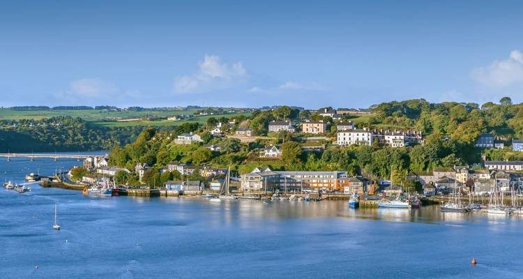 Colorful seaside town perched on a green hillside overlooking a calm harbor.