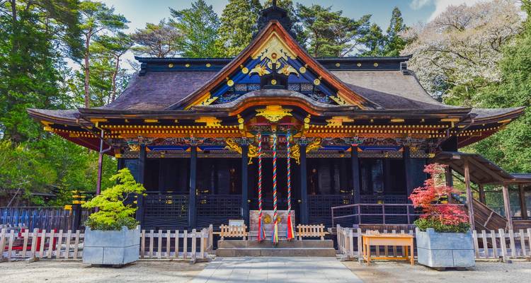 Sierlijk, levendig gekleurde heiligdomgebouw in Nikko omringd door hoge cederbomen.
