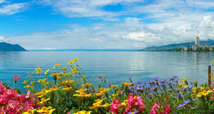 Le rivage du Lac Léman en fleurs avec des fleurs colorées sous un ciel bleu éclatant et des collines lointaines.