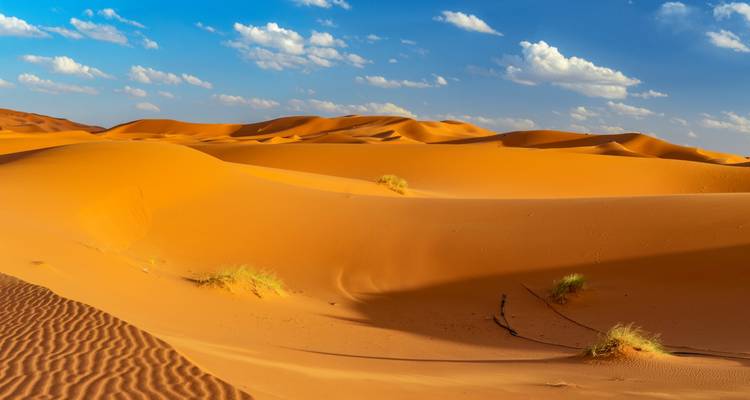 Uitgestrekte gouden zandduinen van de Saharawoestijn met gerimpelde texturen onder een helder lucht met verspreide wolken.