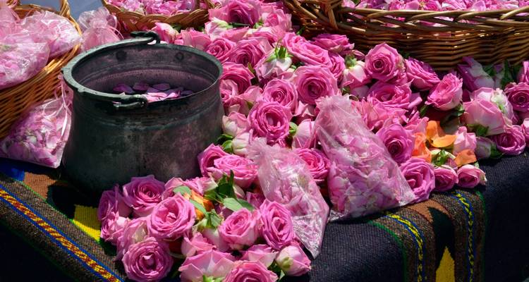 Baskets and bags overflowing with fresh pink rose petals at a market stall.