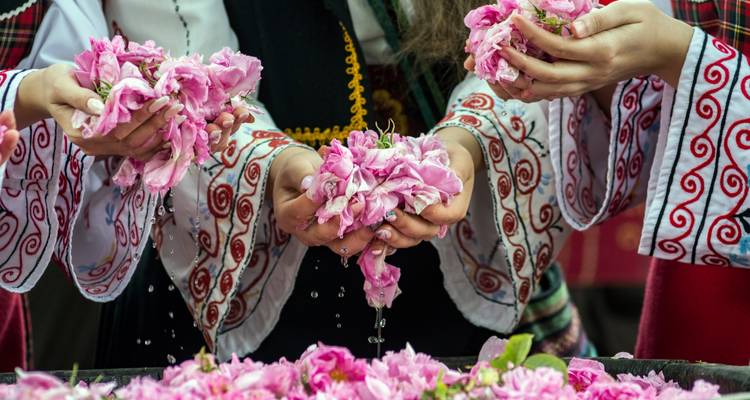 Hands in traditional dress letting pink rose petals fall during Bulgaria’s Rose Festival.