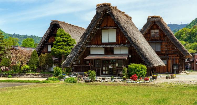 Maisons de ferme traditionelles gassho-zukuri au toit de chaume situées dans une vallée verdoyante avec des montagnes en arrière-plan