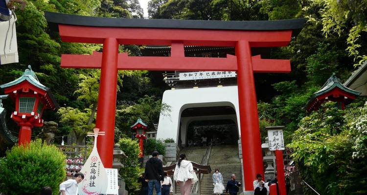 Le portail torii vermillon encadre l'escalier menant à un sanctuaire shinto au sommet d'une colline, entouré d'une forêt luxuriante.