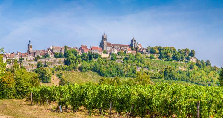 Hilltop-Stadt Vézelay umgeben von grünen Weinbergen unter einem klaren blauen Himmel.