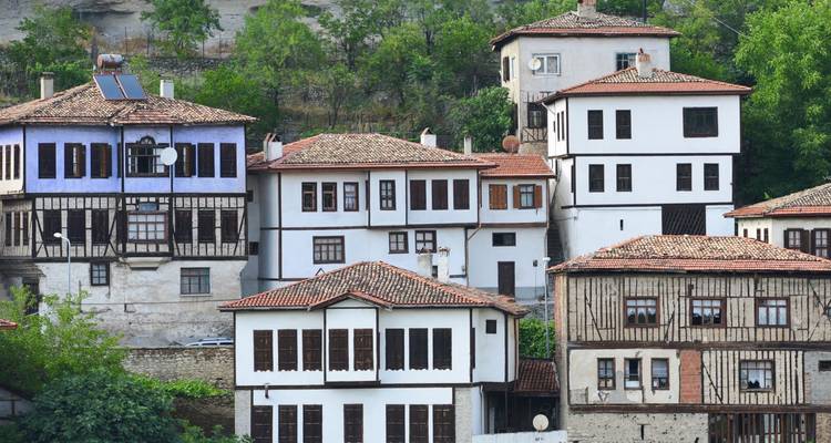 Gros plan des maisons ottomanes à colombages blanchies à la chaux de Safranbolu avec des toits en tuiles rouges entourées d'arbres.