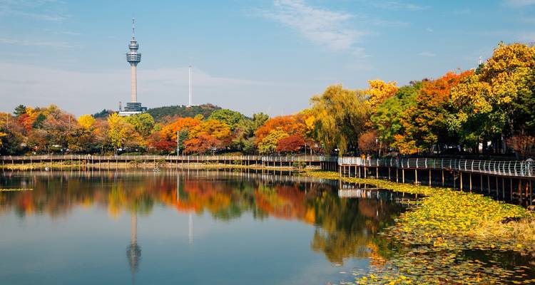 Serene lake reflecting colorful autumn trees with Daegu 83 Tower rising in the background.