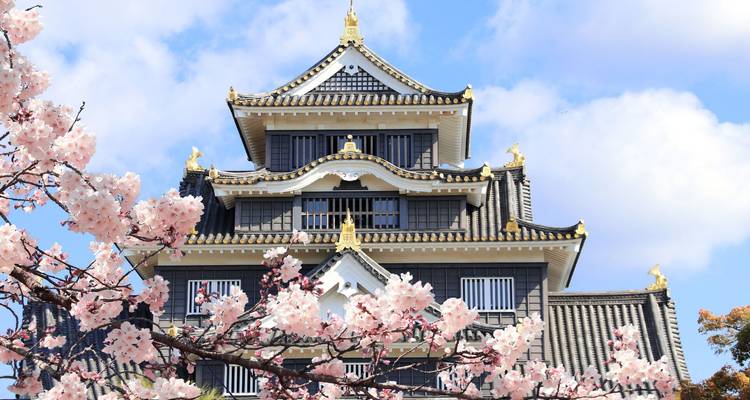 Close-up of majestic black-and-gold Okayama Castle framed by blooming cherry blossoms against a bright sky.