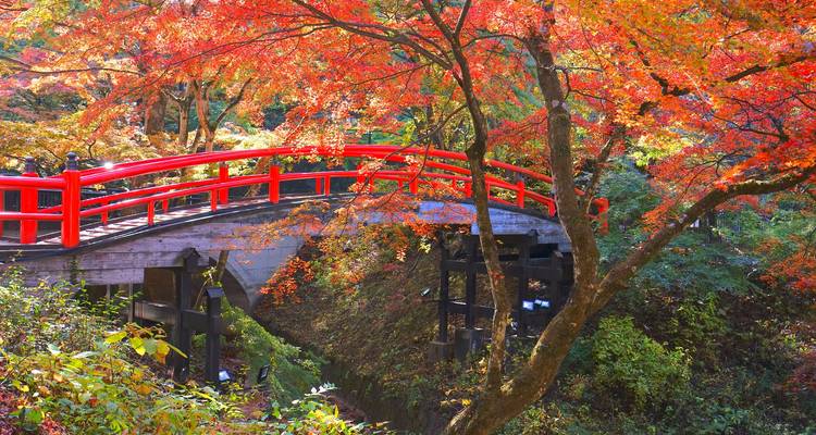 Un pont piétonnier rouge vif s'arque au-dessus d'un ravin forestier incandescent de feuillage automnal.