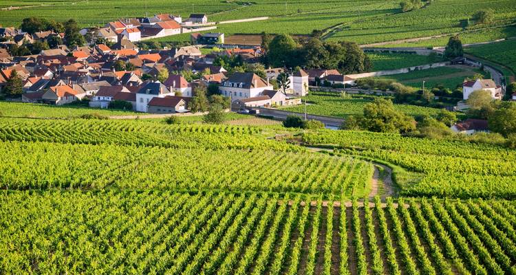 A quaint Burgundy village is surrounded by rolling vineyards under afternoon sun.