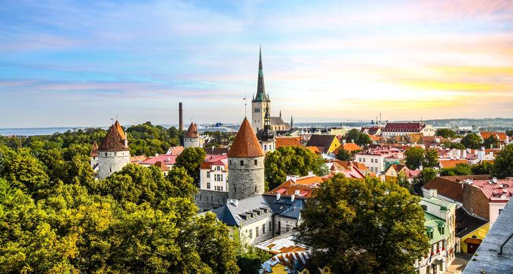Lever de soleil sur les tours médiévales de Tallinn s'élevant au-dessus des cimes d'arbres verdoyants avec un ciel aux tons pastel.