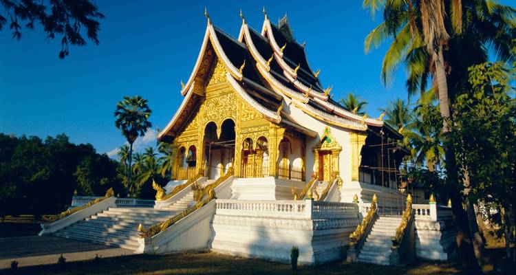 Le temple Haw Pha Bang aux toits dorés scintillant sous un ciel bleu profond avec des palmiers alentour.