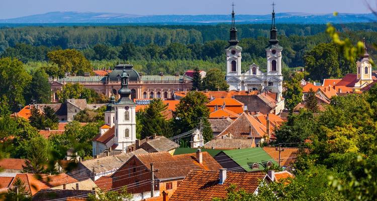 Dachansicht einer Barockstadt mit zwei weißen Kirchtürmen inmitten einer üppig grünen Ebene.