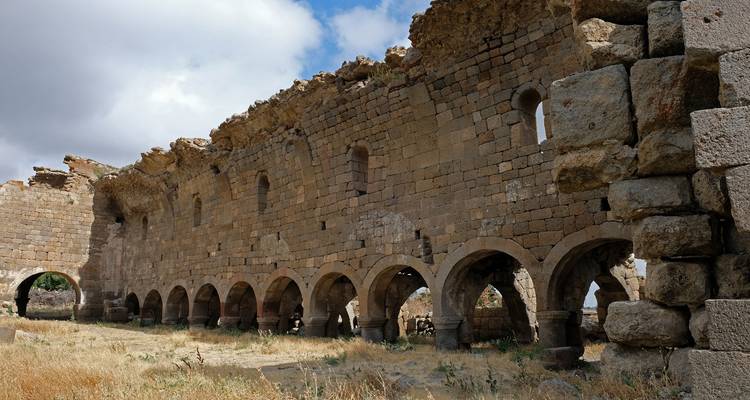 Ruined stone basilica walls with series of arches standing amid dry grasses under a cloudy sky