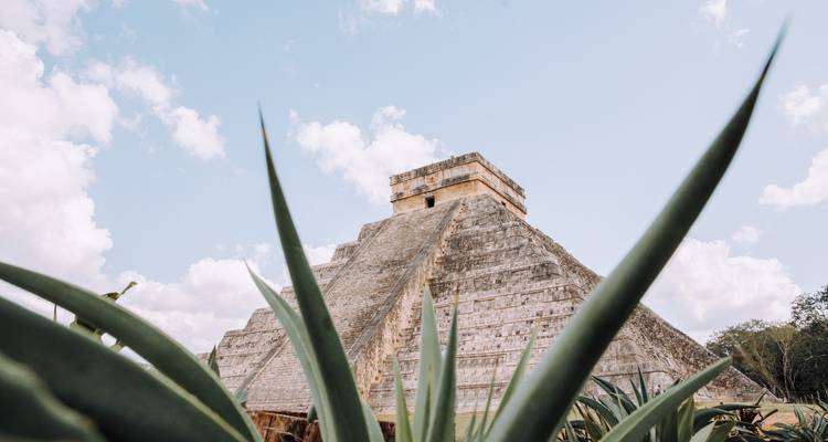 Stone pyramid of Chichen Itza viewed through spiky agave leaves under a partly cloudy sky.