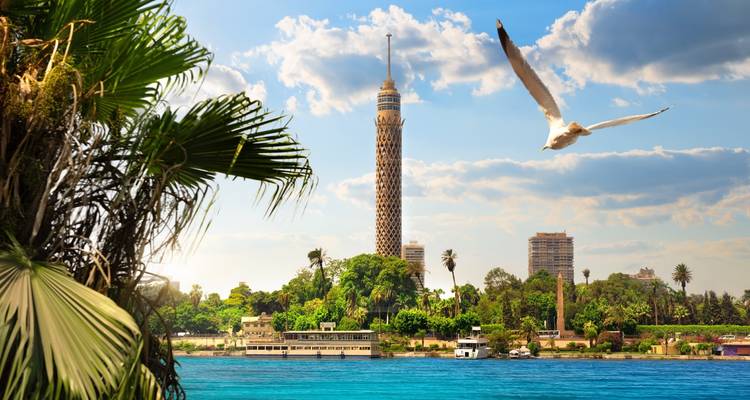 La Tour du Caire s'élevant au-dessus des palmiers luxuriants de la rive et des eaux bleues du Nil.