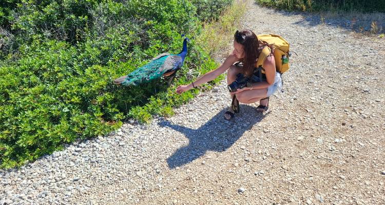 Jeune femme portant un sac à dos s'agenouille pour nourrir un paon coloré sur un sentier de gravier ensoleillé