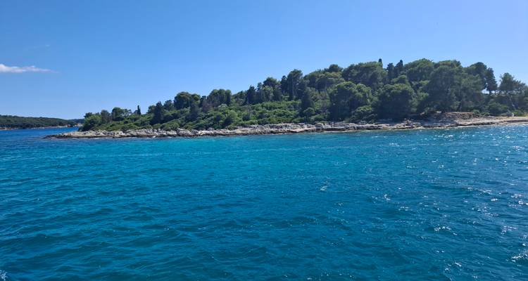 Petite île aux terres couvertes de verdure entourée par les eaux bleu profond de la mer Adriatique par une journée ensoleillée