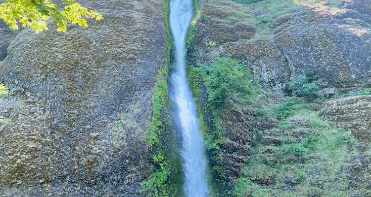 Narrow ribbon waterfall cascades down a steep basalt cliff in a lush gorge.