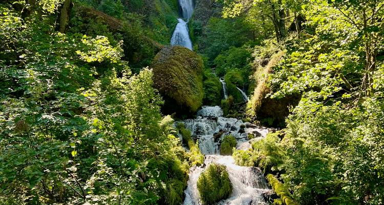 Series of moss-covered cascades and a tall waterfall amidst dense green forest.