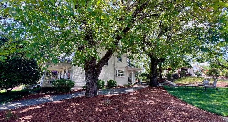 Charming house shaded by large trees with outdoor seating on a manicured lawn.