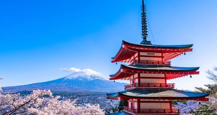 Die ikonische rote Chureito-Pagode, umrahmt von Kirschblüten mit dem schneebedeckten Berg Fuji in der Ferne.