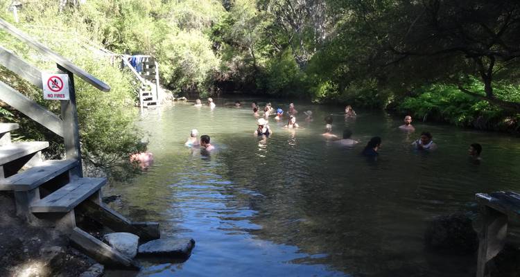 Dozens of people soaking in a natural hot spring pool surrounded by bushy trees.