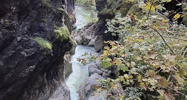 Gorge étroite aux parois rocheuses mousseuses et aux eaux turquoise à écoulement rapide