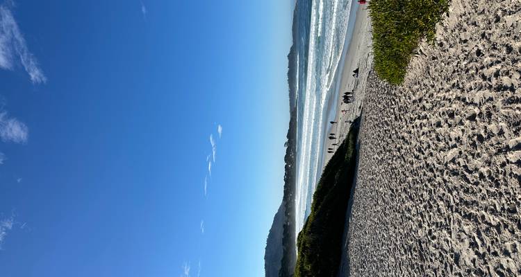 Wide sandy beach with small groups of people enjoying surf under clear blue sky.