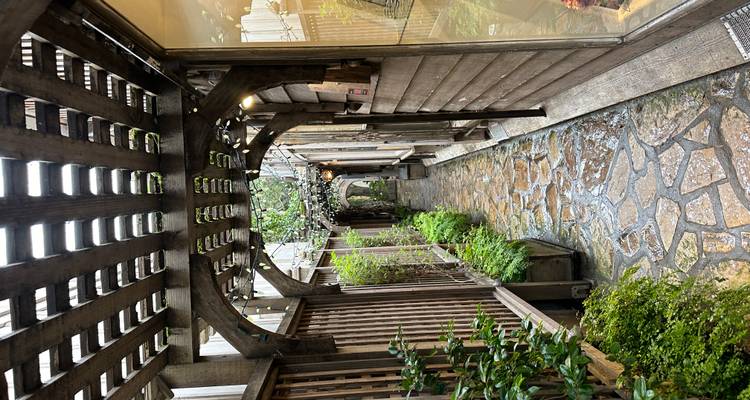 Narrow stone-paved passageway lined with wooden balconies, greenery and hanging lights after rain.