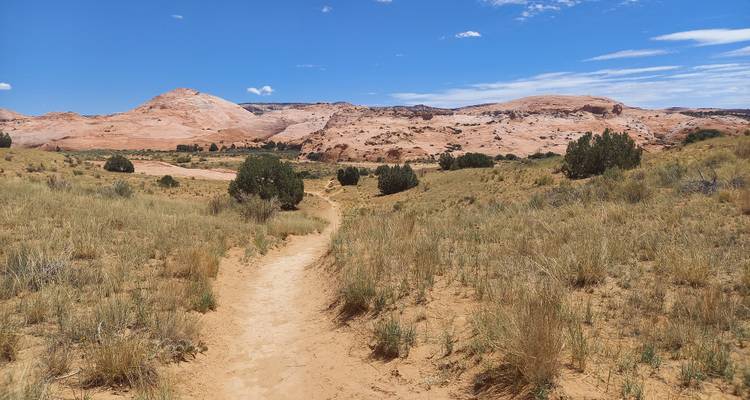 Dusty hiking trail winding through dry grasslands toward pink sandstone hills under a sunny sky.