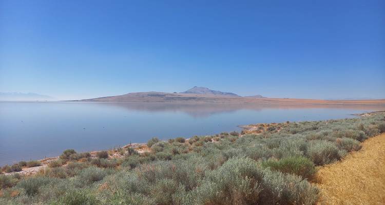 Ruhige, spiegelglatte Gewässer des Großen Salzsees mit niedriger Insel und karger Uferbegrünung unter wolkenlosem Himmel.
