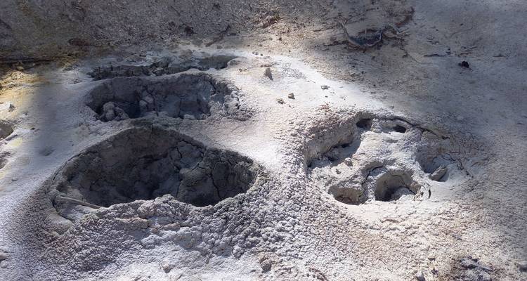 Nahaufnahme von sprudelnden Schlammtöpfen, die kreisförmige Löcher in hellem grauem geothermalem Boden bilden.