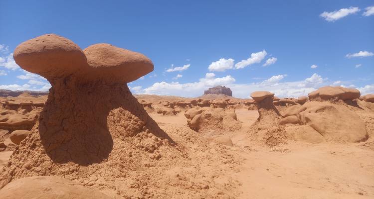 Gruppe von gedrungenen, pilzartigen Sandsteinformationen unter einem strahlend blauen Himmel im Goblin Valley.