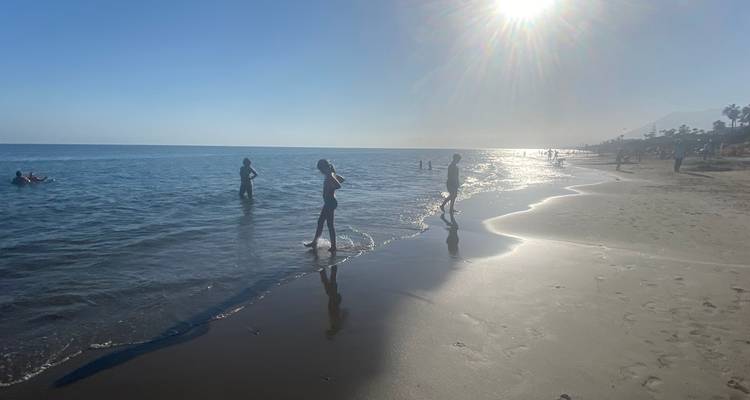 Silhouetted bathers wading in shallow sea with strong evening sun creating sparkling reflections.