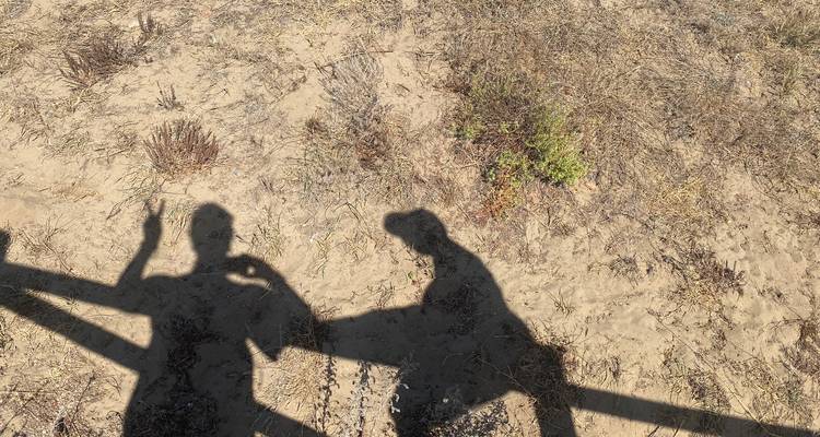Playful shadows of two people cast on dry sandy ground beside a wooden fence.