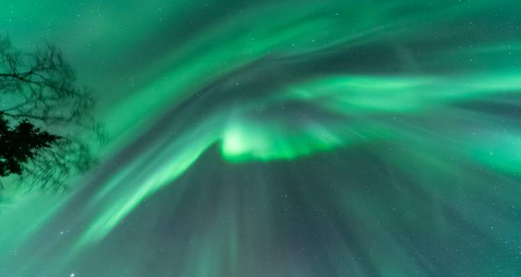 Uitgestrekte groene auroraboog die zich boven je hoofd uitstrekt met zwakke boomsilhouet aan de rand.