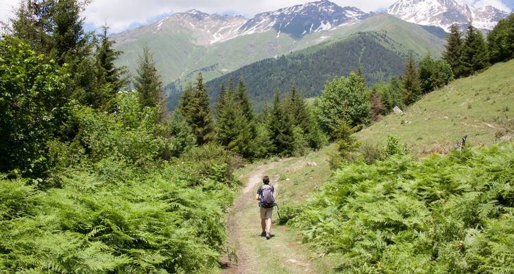 Solo hiker with backpack walks a forest trail toward snow-dusted Caucasus peaks.