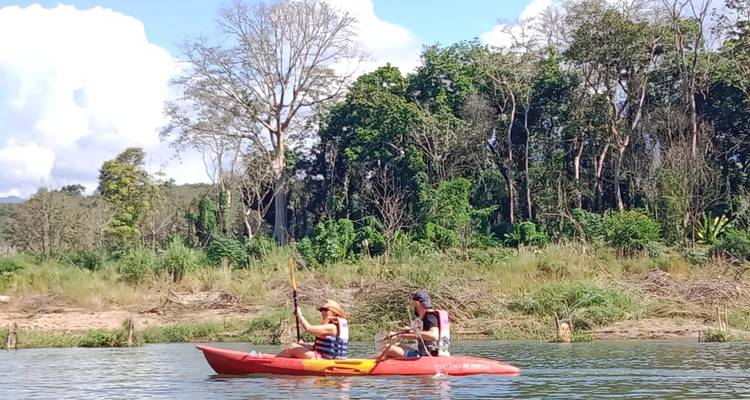 Two kayakers paddle beside dense jungle trees under a bright sky.
