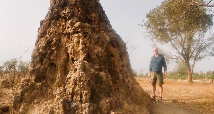 Traveller standing beside a giant termite mound in the Sahel landscape.