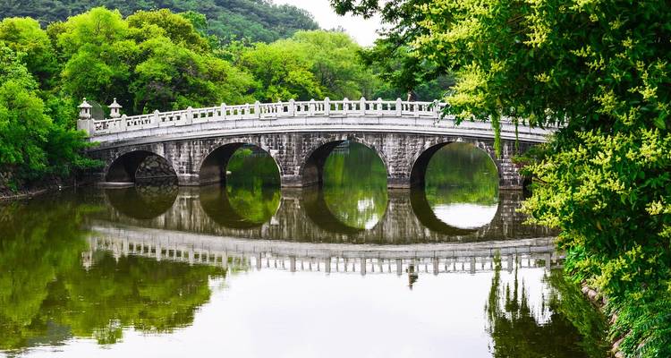 Steinbogenbrücke, die einen ruhigen, spiegelnden Fluss überspannt und von üppig grünen Bäumen umgeben ist.