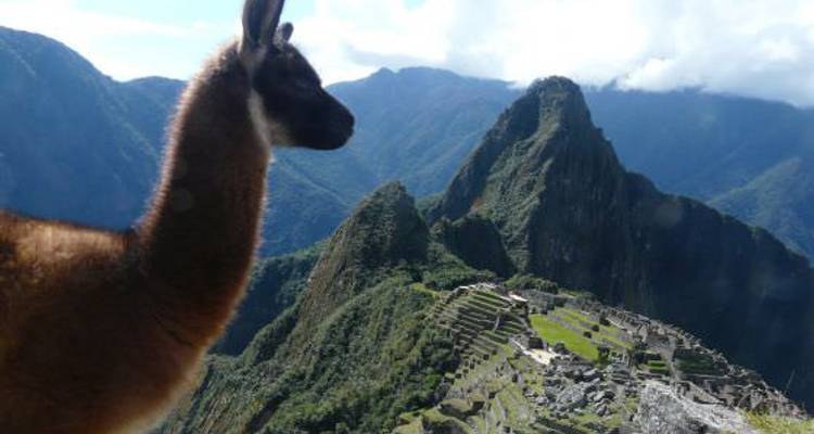 Lima To La Paz (30 Days) Peru & Bolivia Encompassed - Oasis Overland